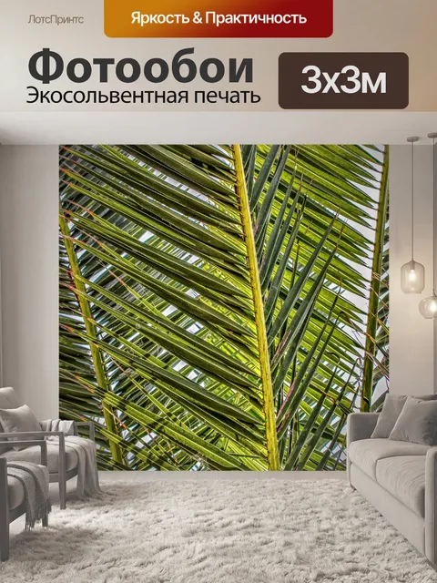 Фотообои Пальмовые листья