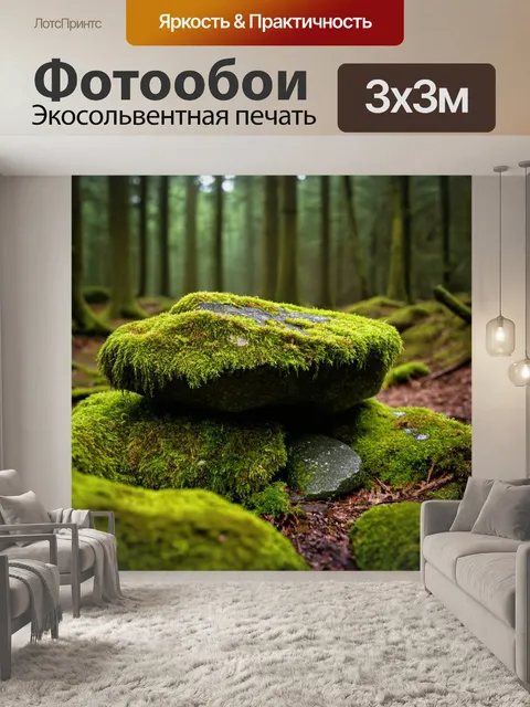 Фотообои камни в лесу с мхом