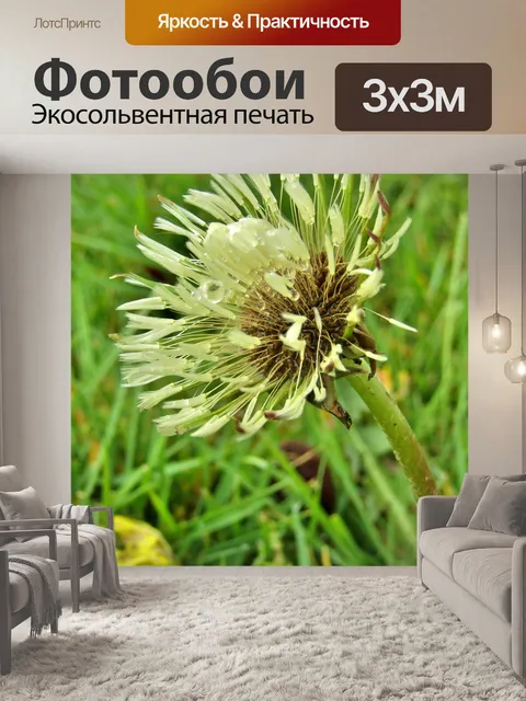 Фотообои Одуванчик