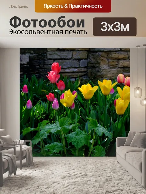 Фотообои Тюльпаны