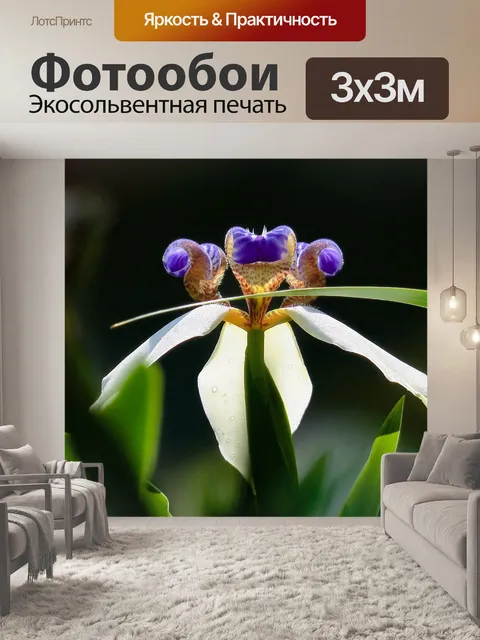 Фотообои Ирис