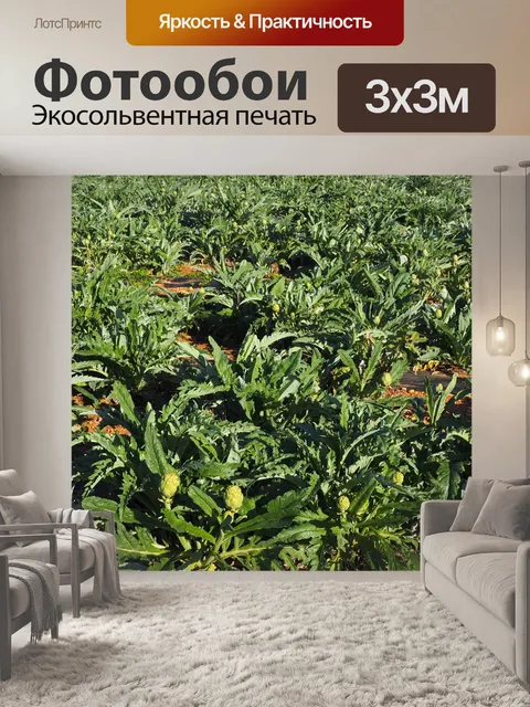 Фотообои Поле
