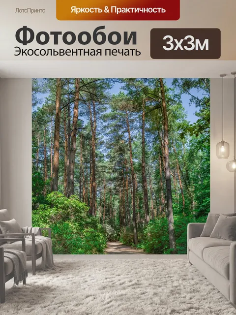 Фотообои Древесины