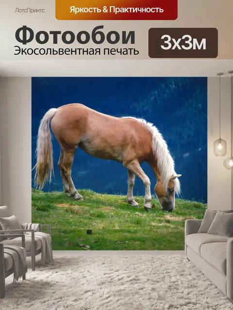 Фотообои Лошадь