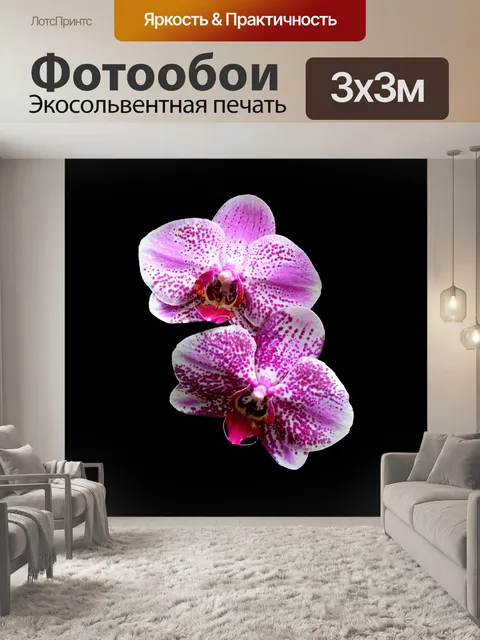 Фотообои Орхидеи