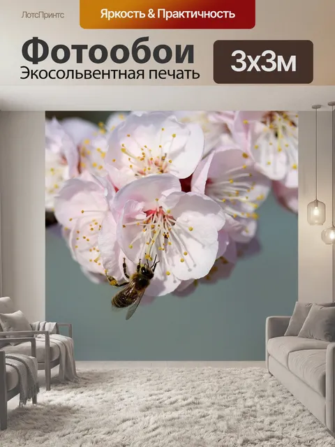 Фотообои Пчела