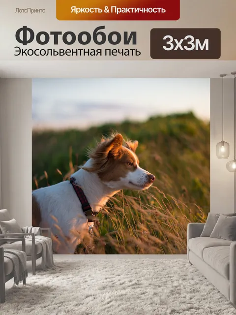 Фотообои Собака