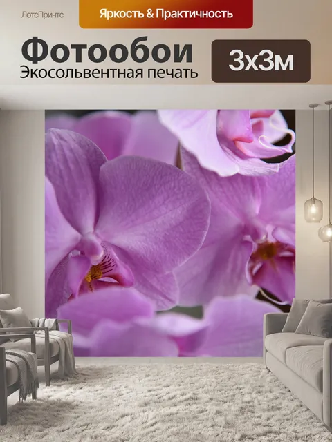 Фотообои Орхидеи