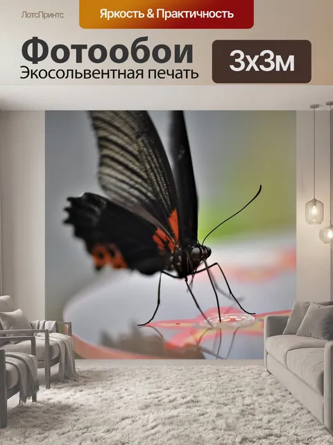 Фотообои Бабочка