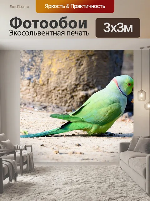 Фотообои Птица
