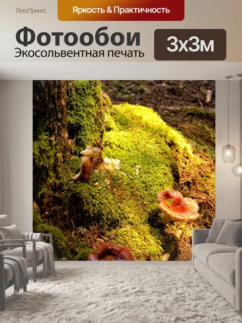 Фотообои Грибы