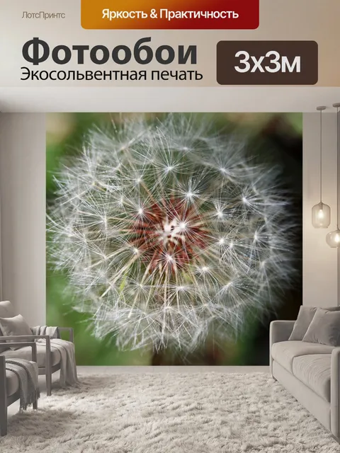 Фотообои вкусные пучки семян одуванчика