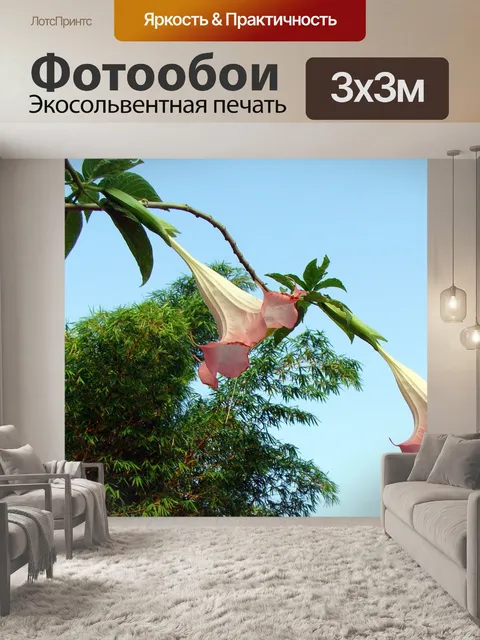 Фотообои Труба персикового ангела