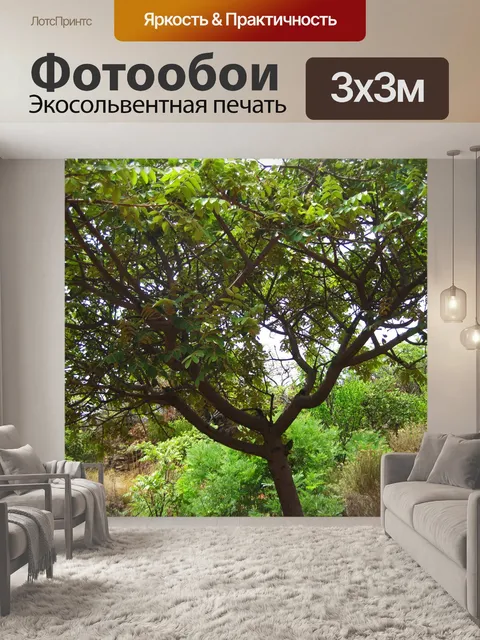 Фотообои дерево с зелеными яйцевидными листьями