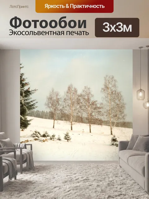Фотообои Березы