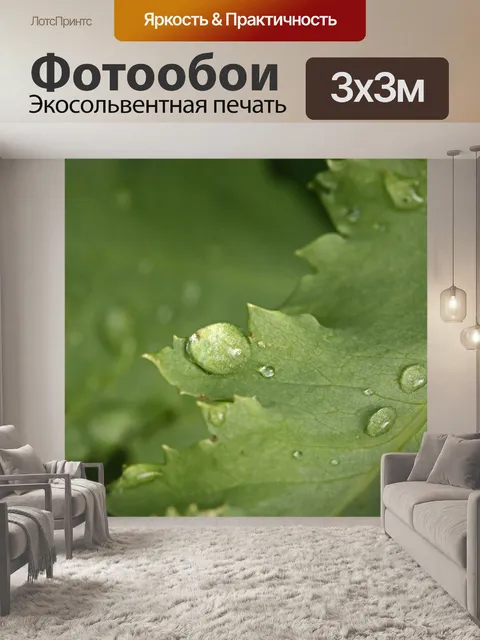 Фотообои блестящая капля воды на листе мака