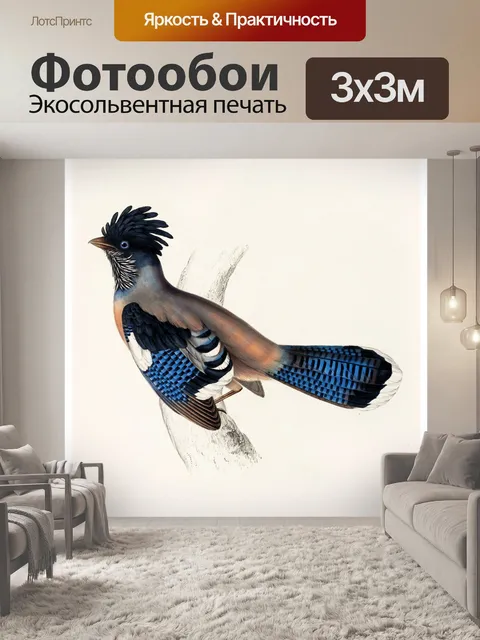Фотообои Джей птица синий винтаж