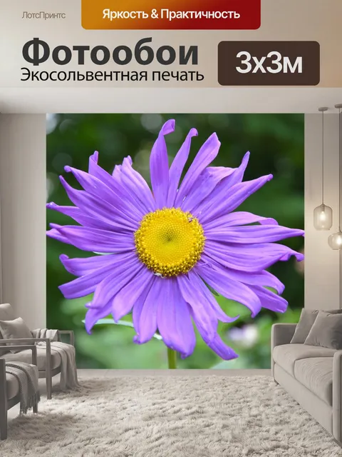 Фотообои Цветы