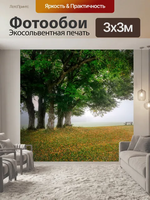 Фотообои Туман