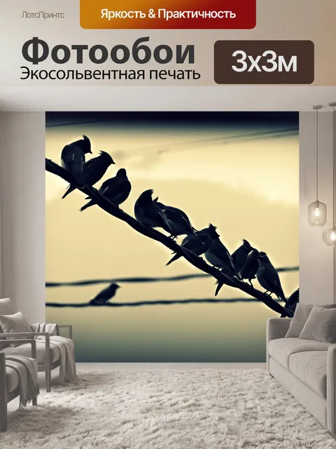 Фотообои Птицы