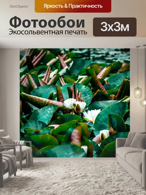 Фотообои Лотос