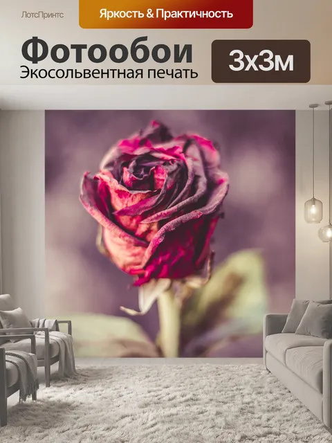 Фотообои Розы