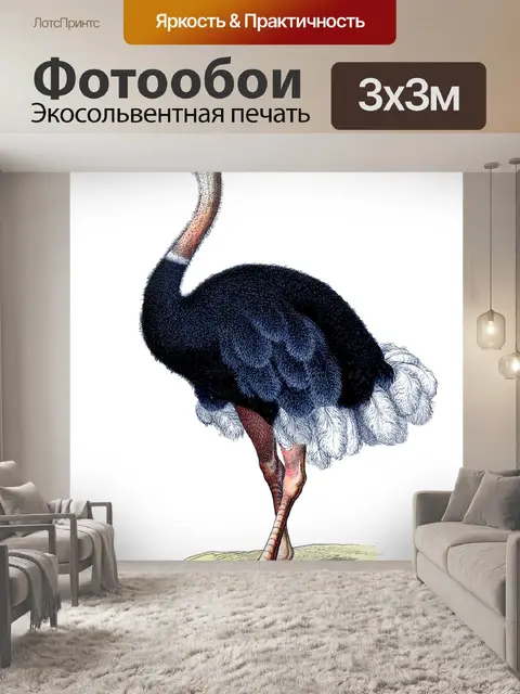 Фотообои Страусиное винтажное искусство