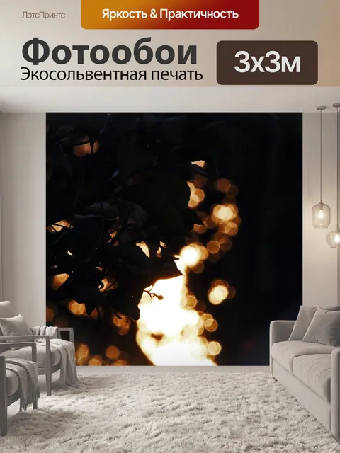 Фотообои растительность с боке на закате