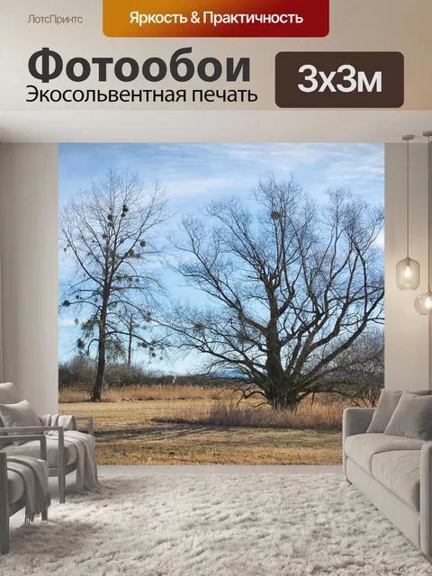 Фотообои Деревья