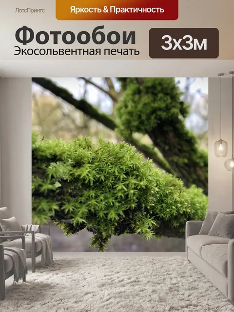 Фотообои Мох