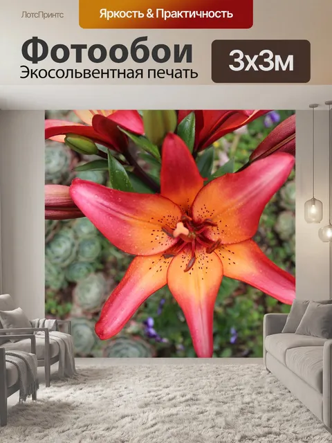 Фотообои Лили