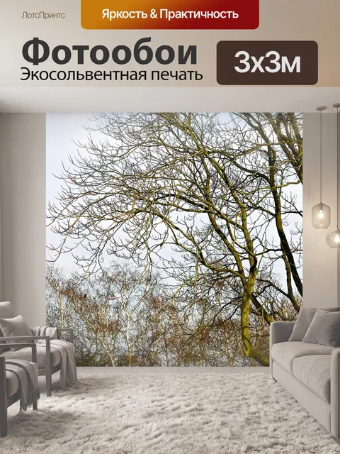 Фотообои Деревья