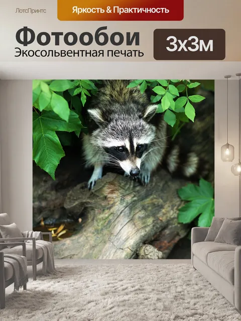 Фотообои Животное