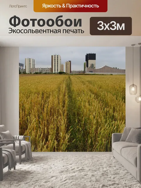 Фотообои Лилль Город Пригород