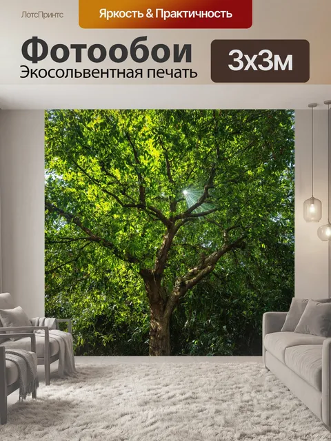 Фотообои ветвистое дерево с ярко-зелеными листьями, окруженное многообразием экзотических растений в тропическом лесу
