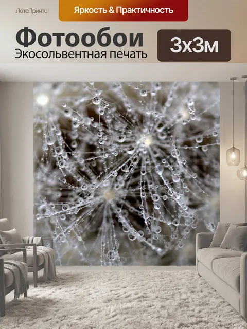 Фотообои Одуванчик