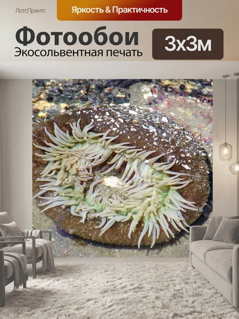 Фотообои Море