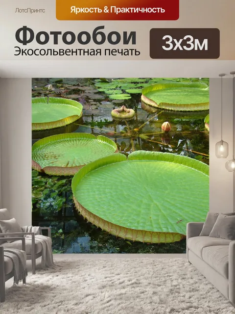 Фотообои Листья