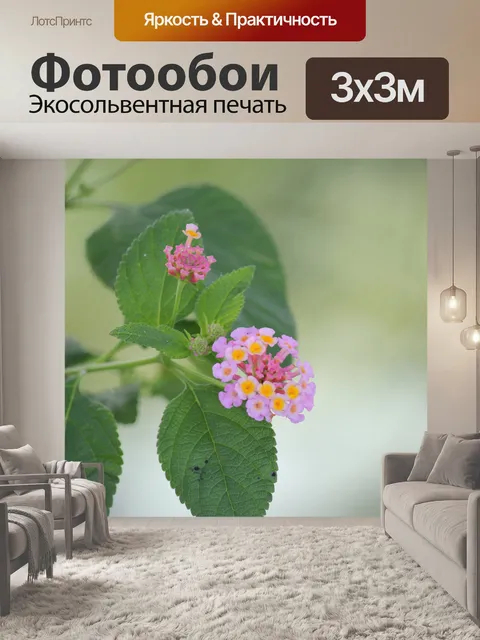 Фотообои розовыми цветами