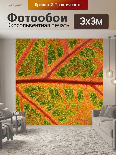 Фотообои Лист