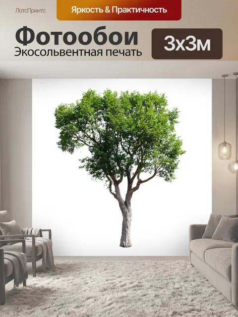 Фотообои Деревья