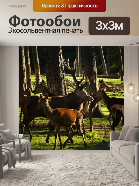 Фотообои Стадо благородных оленей косуль