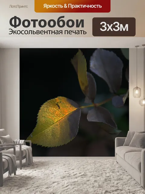 Фотообои Гниющий лист куста розы
