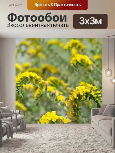 Фотообои Цветы