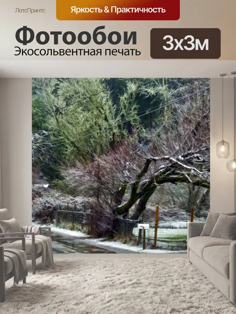 Фотообои Зимние деревья