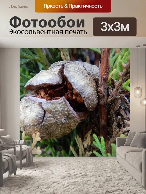 Фотообои Природа
