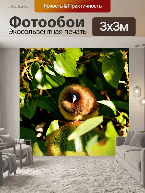 Фотообои киви, эта уникальная птица с коричневым, ворсистым оперением, прячется среди зелёных листьев новозеландских…