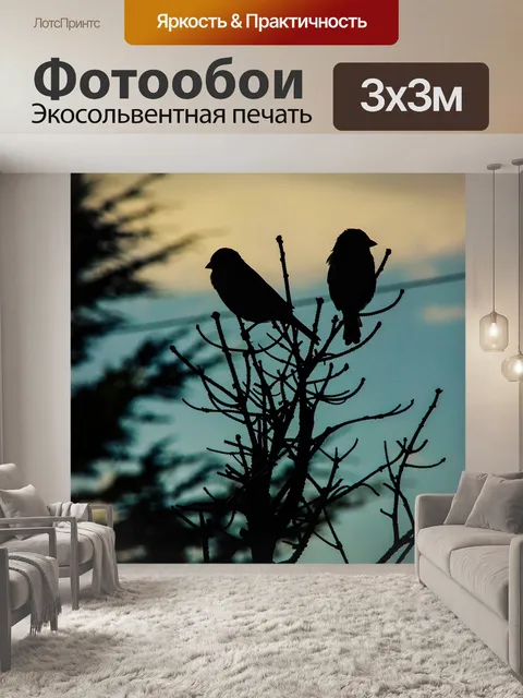 Фотообои Птица
