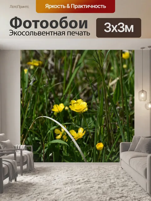 Фотообои Цветы