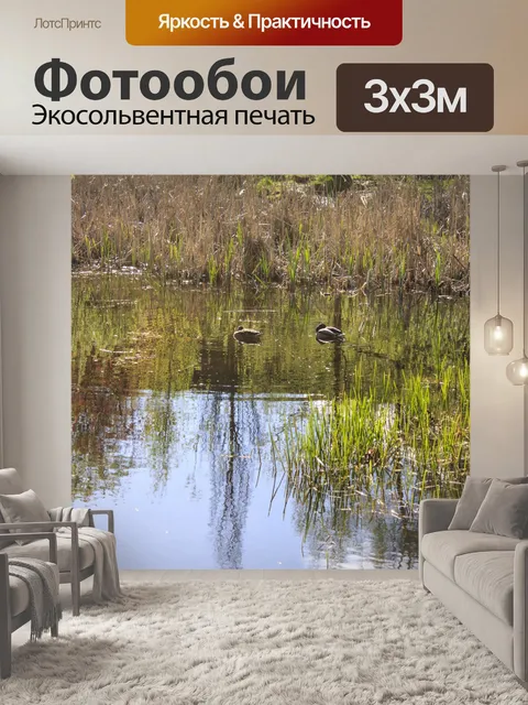Фотообои Фон